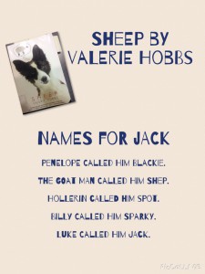 Sheep By Valerie Hobbs